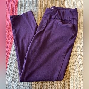 Coldwater Creek Dark Raspberry Knit Pull On Jeans Women’s 14P